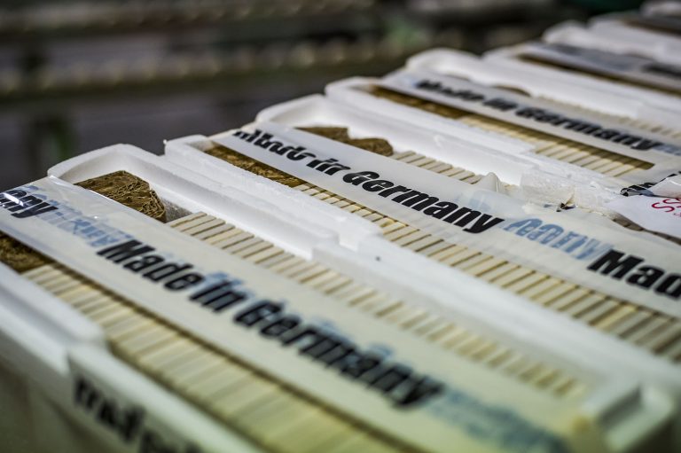 Maxberg-Jura-Kalkstein-Fliesen-Elbe-Naturstein