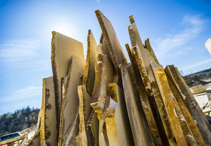 Solnhofener Kalkstein aestivate