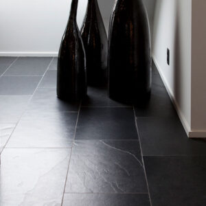 Preto do Cavalo Mustang Schiefer aestivate