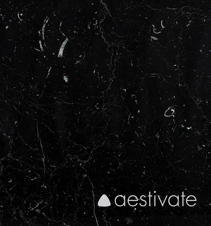 FL13618XXX_Kalksteinfliesen-Nero-Marquina-Negro-Marquina-poliert_4edited-1.jpg Kalksteinfliese Nero Marquina poliert aestivate