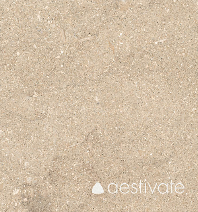 FL14215XXX_Kalksteinfliesen-Grey-Oliva-Grigio-Olivo-geschliffen_1-with-Logo-1.jpg Kalksteinfliese aus Grey Oliva geschliffen aestivate