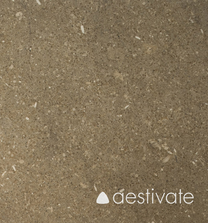 FL14218XXX_Kalksteinfliesen-Grey-Oliva-Grigio-Olivo-poliert-1.jpg Grey Oliva Kalksteinfliese aestivate