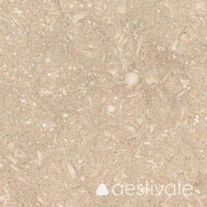 Kalksteinfliese Grey Oliva gebürstet aestivate