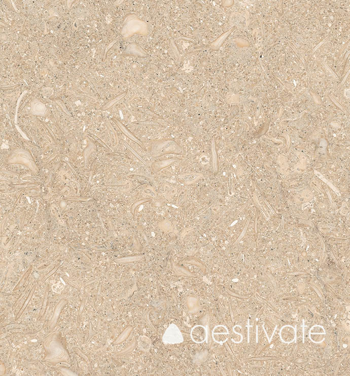 FL14256XXX_Kalksteinfliesen-Grey-Oliva-Grigio-Olivo-gebuerstet_4-with-logo-1.jpg Kalksteinfliese Grey Oliva gebürstet aestivate