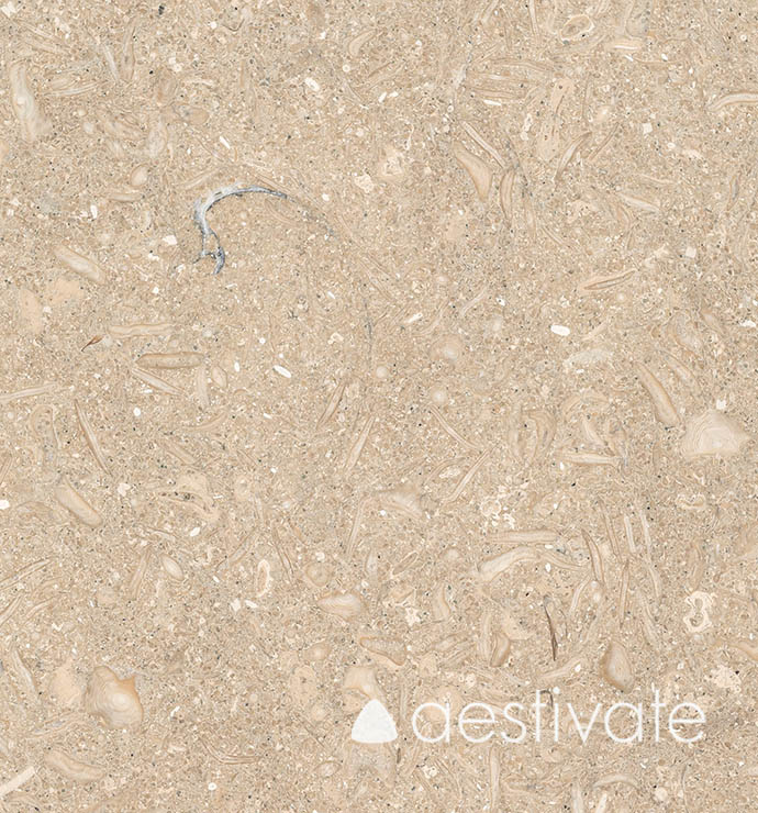 FL14256XXX_Kalksteinfliesen-Grey-Oliva-Grigio-Olivo-gebuerstet_5-with-logo-1.jpg Kalksteinfliese Grey Oliva gebürstet aestivate