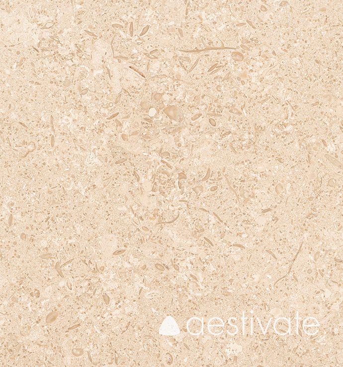FL14356XXX_Kalksteinfliesen-Beige-Oliva-Grolla-Beige-gebuerstet_3-with-logo-1.jpg Kalksteinfliese Beige Oliva gebürstet aestivate