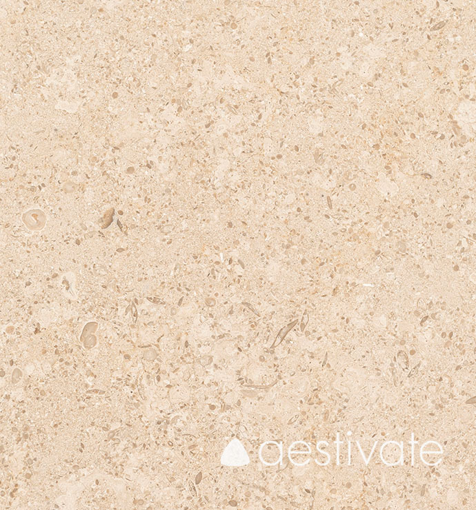 FL14356XXX_Kalksteinfliesen-Beige-Oliva-Grolla-Beige-gebuerstet_5-with-logo-1.jpg Kalksteinfliese Beige Oliva gebürstet aestivate