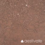 Öland Kalkstein Horns Udde rot B1 aestivate