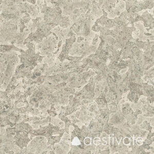 Kalkstein Öland Gillberga hellgrau geschliffen aestivate