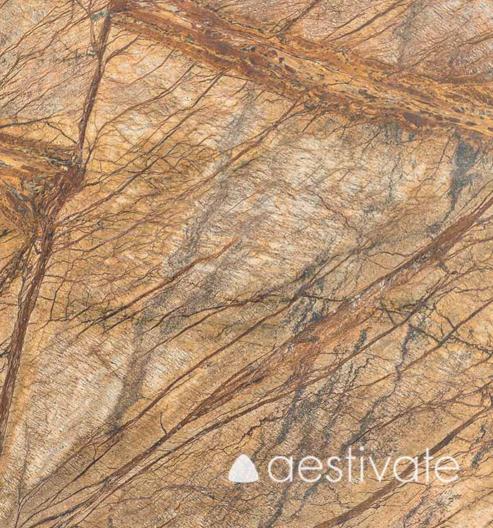 FL17625XXX_Marmorfliesen-Rainforest-Brown-satiniert_2-edited-1.jpg Marmorfliese Rainforest Brown satiniert aestivate