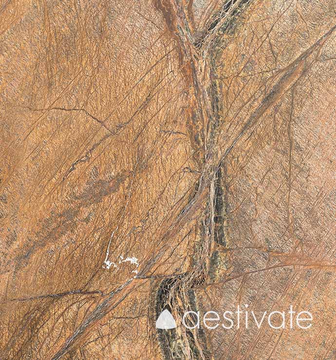 FL17625XXX_Marmorfliesen-Rainforest-Brown-satiniert_5-edited-1.jpg Marmorfliese Rainforest Brown satiniert aestivate