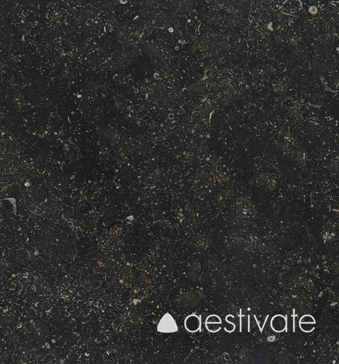 FL18134XXX_Kalksteinfliesen-Belgischer-Blaustein-geschliffen-C-320_2-edited-1.jpg Kalksteinfliese Belgisch Blaustein geschliffen C320 aestivate