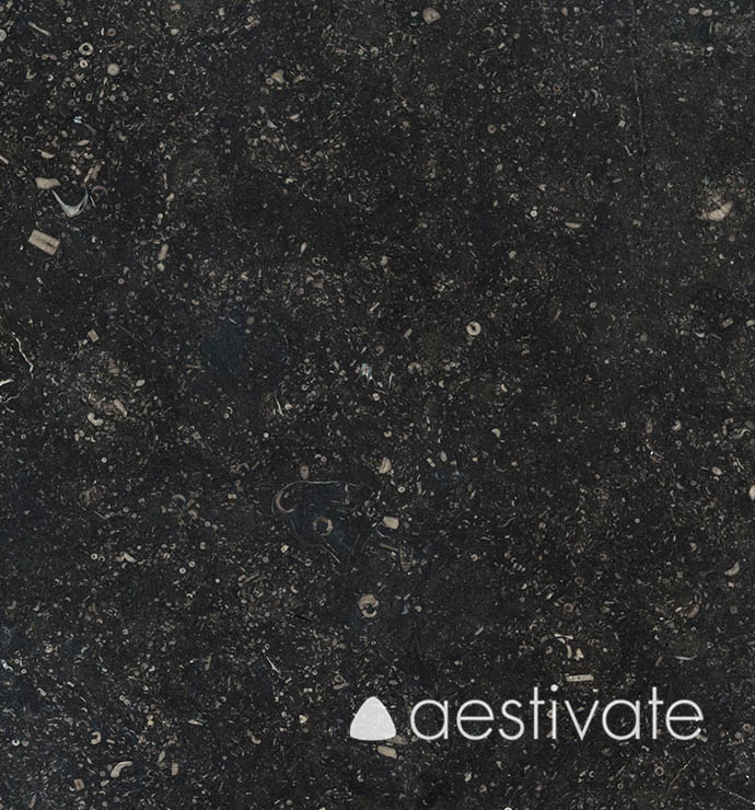 FL18134XXX_Kalksteinfliesen-Belgischer-Blaustein-geschliffen-C-320_4-edited-1.jpg Kalksteinfliese Belgisch Blaustein geschliffen C320 aestivate