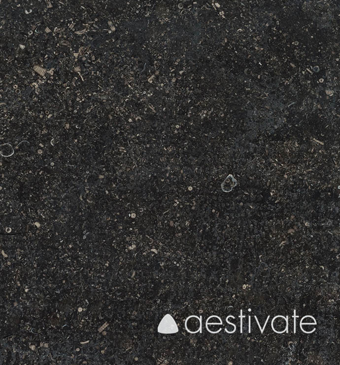 FL18134XXX_Kalksteinfliesen-Belgischer-Blaustein-geschliffen-C-320_6-edited-1.jpg Kalksteinfliese Belgisch Blaustein geschliffen C320 aestivate