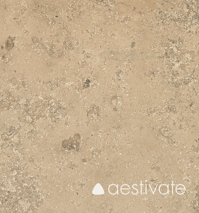 FL50518XXX-Kalksteinfliesen-Maxberg-Jura-grau-poliert_1-edited-1.jpg Kalksteinfliese Maxberg Jura Kalkstein grau poliert aestivate