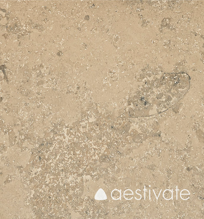 FL50518XXX-Kalksteinfliesen-Maxberg-Jura-grau-poliert_3-edited-1.jpg Kalksteinfliese Maxberg Jura Kalkstein grau poliert aestivate