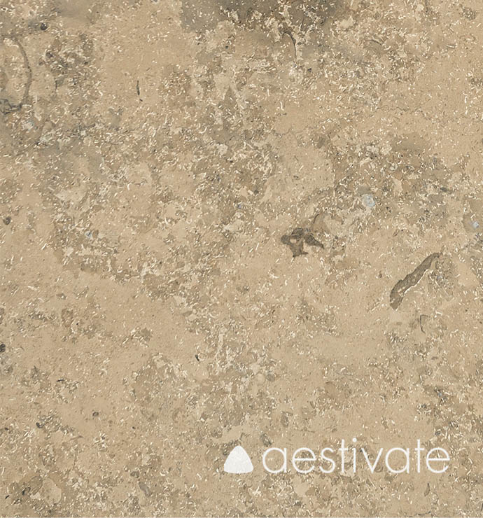 FL50518XXX-Kalksteinfliesen-Maxberg-Jura-grau-poliert_5-edited-1.jpg Kalksteinfliese Maxberg Jura Kalkstein grau poliert aestivate