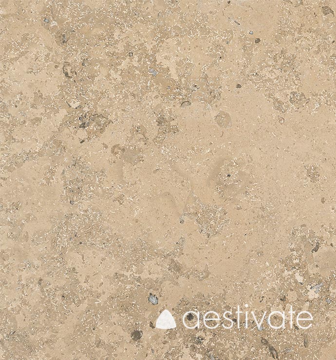 FL50537XXX-Kalksteinfliesen-Maxberg-Jura-grau-Luna-Diamant_7-edited-1.jpg Kalksteinfliese MAXBERG Jura grau Luna Diamant aestivate