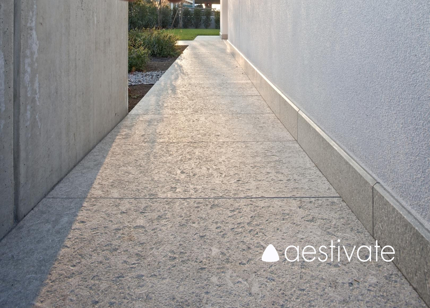 Grey Oliva geflammt aestivate Gehweg aus Oliva aestivate