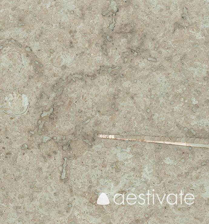 TP14715XXX_Kalksteinplatten-Oelandstein-Gillberga-grau-G2H-Oeland-Gra-G2H-geschliffen_6-edited-1.jpg Kalksteinplatten Oelandstein Gillberga grau G2H aestivate