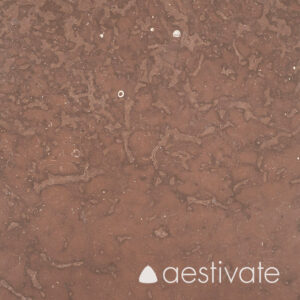 Terrassenplatten Ölandstein Horns Udde rot B1 aestivate