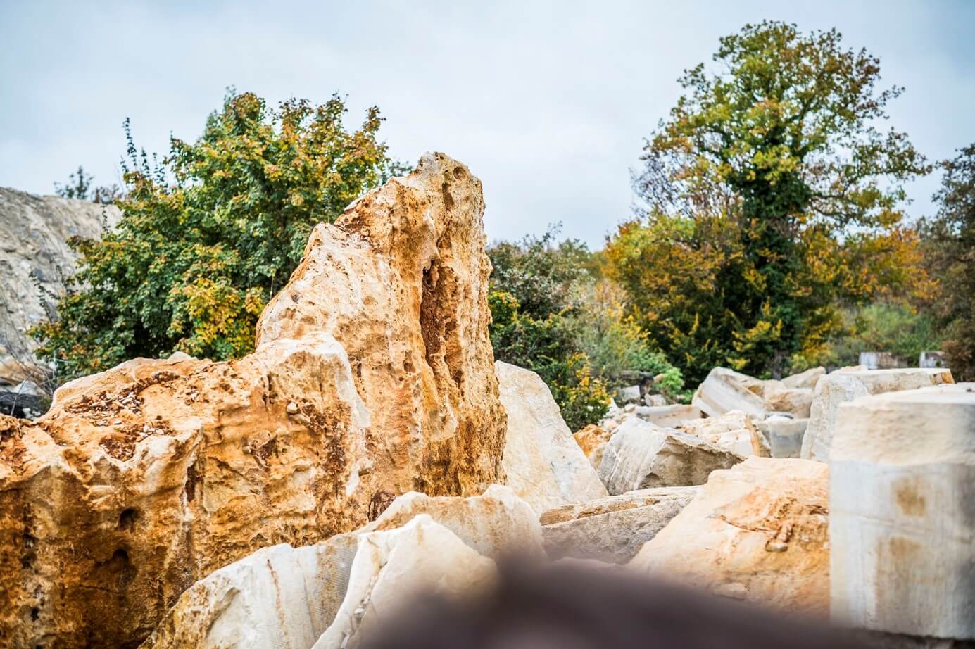 Kalksteine in einer natuerlichen Umgebung aestivate Kalksteinbruch bewachsen aestivate