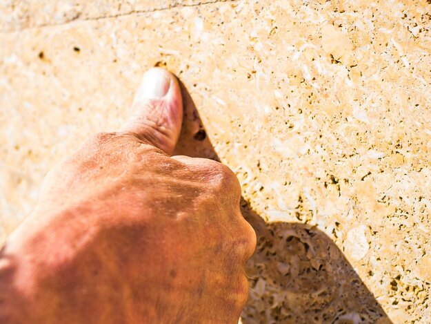 finger-auf-natursteinoberflache-aestivate Fingerspitze auf Kalksteinoberfläche aestivate