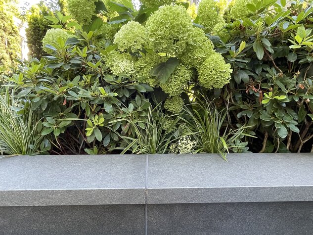 Mauerabdeckung Nero Assoluto Draußen aestivate