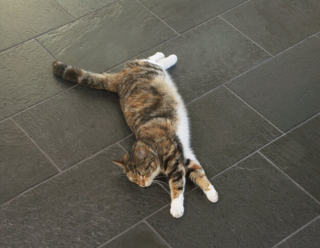 KONICA MINOLTA DIGITAL CAMERA