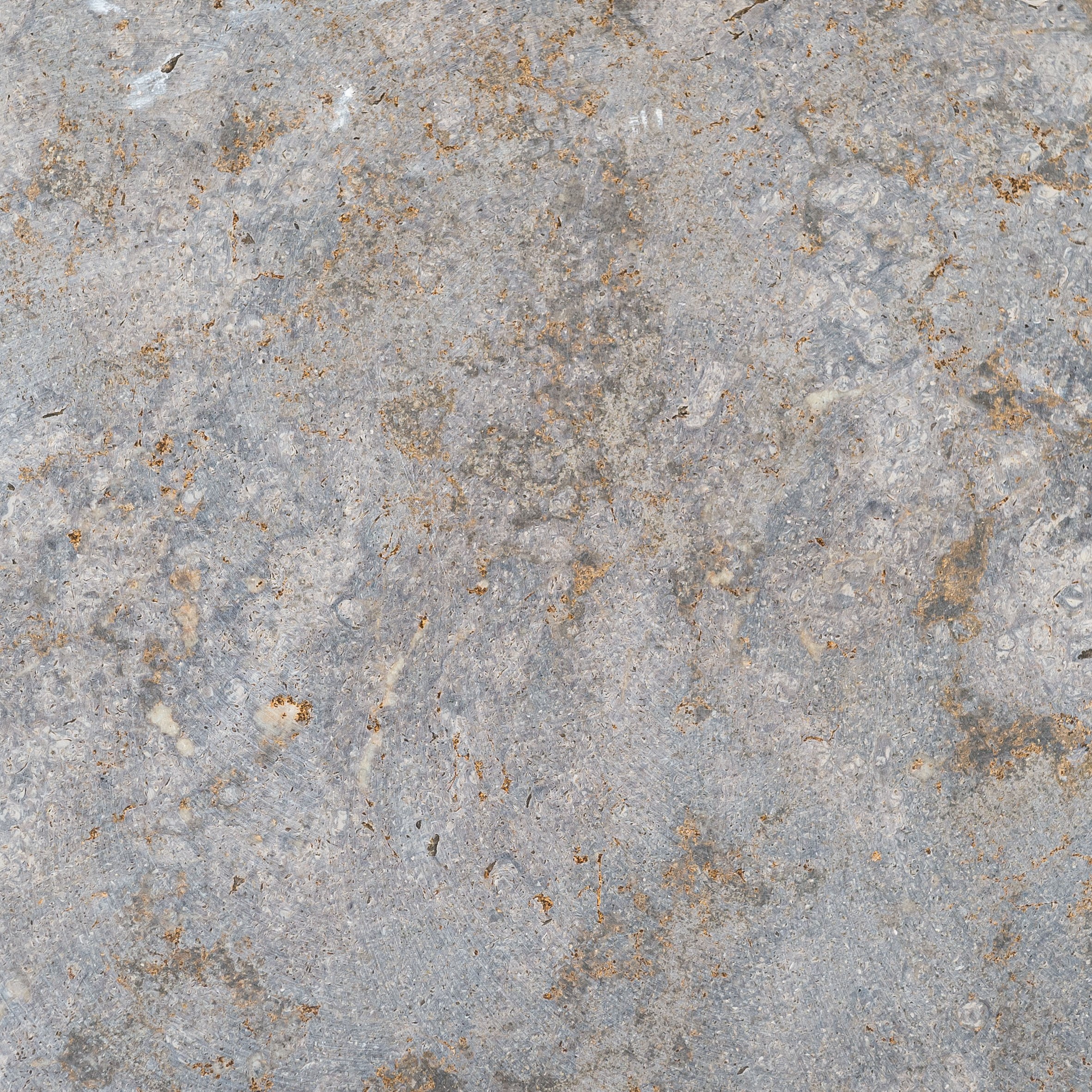 Kirchheimer Muschelkalk C120 aestivate Terrassenplatten Kirchheimer Muschelkalk C120 aestivate