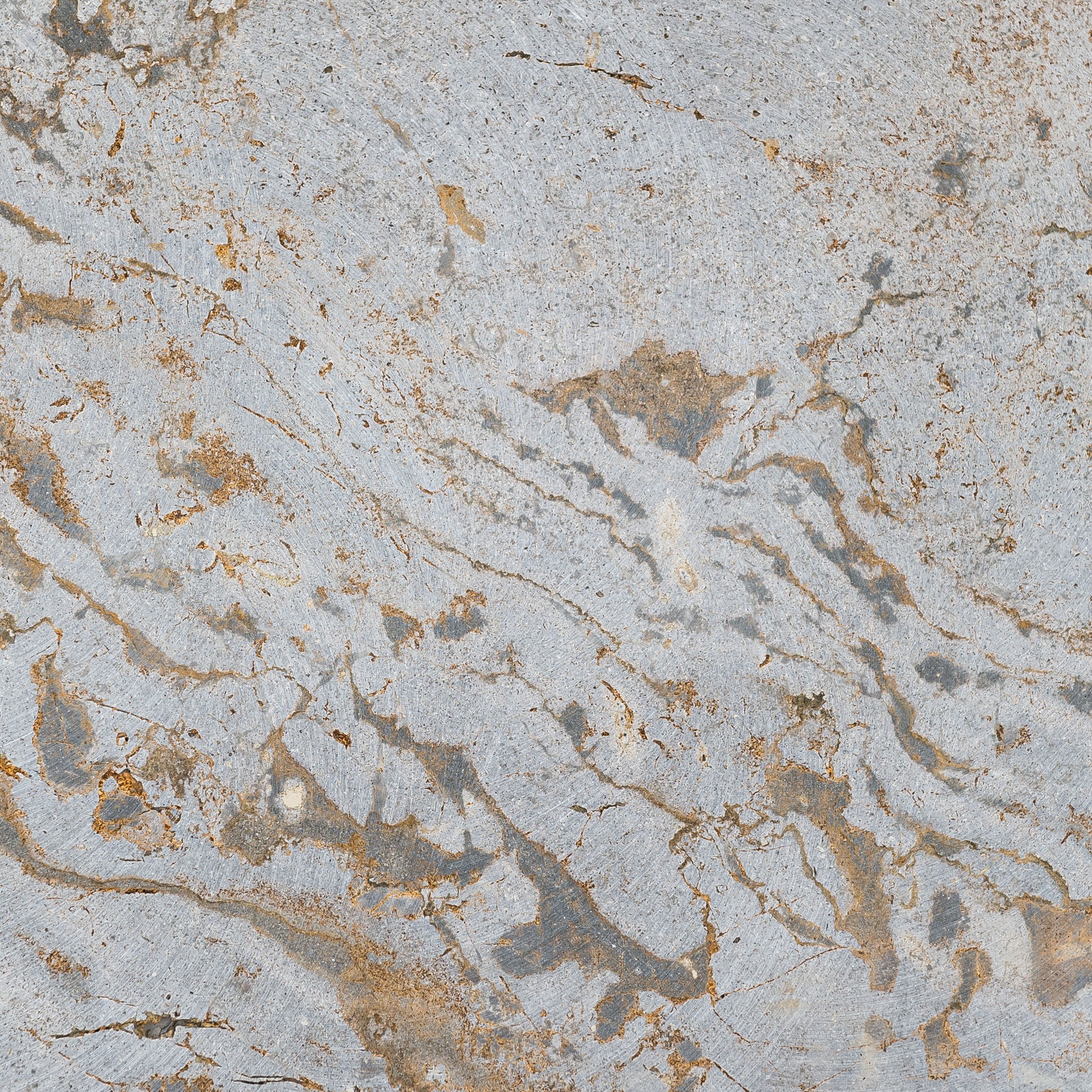 Kirchheimer Muschelkalk geschliffen C60 aestivate Kirchheimer Muschelkalk geschliffen C60 aestivate