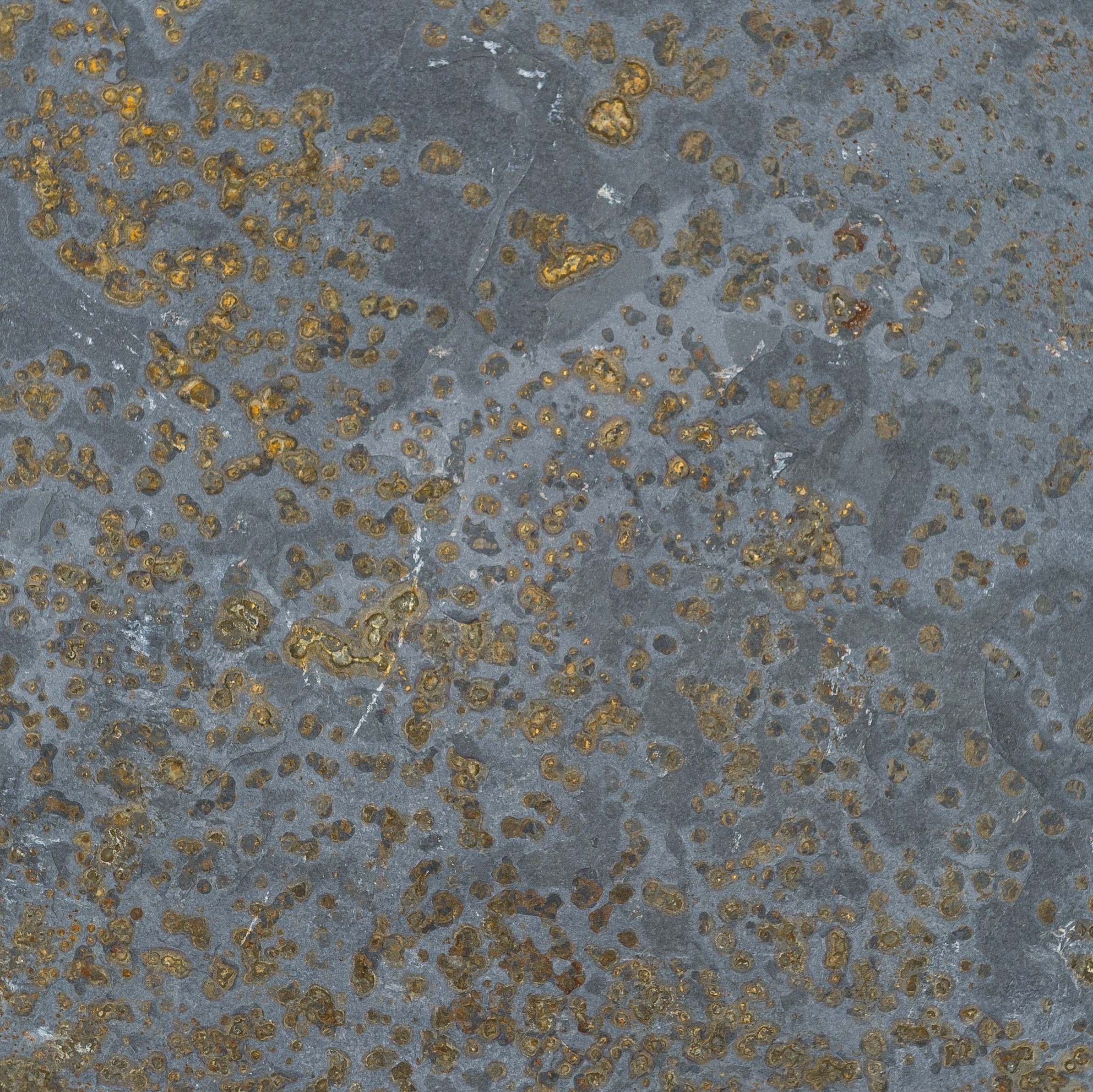 Schieferfliese Multicolor aestivate Multicolor Schiefer spaltrau aestivate