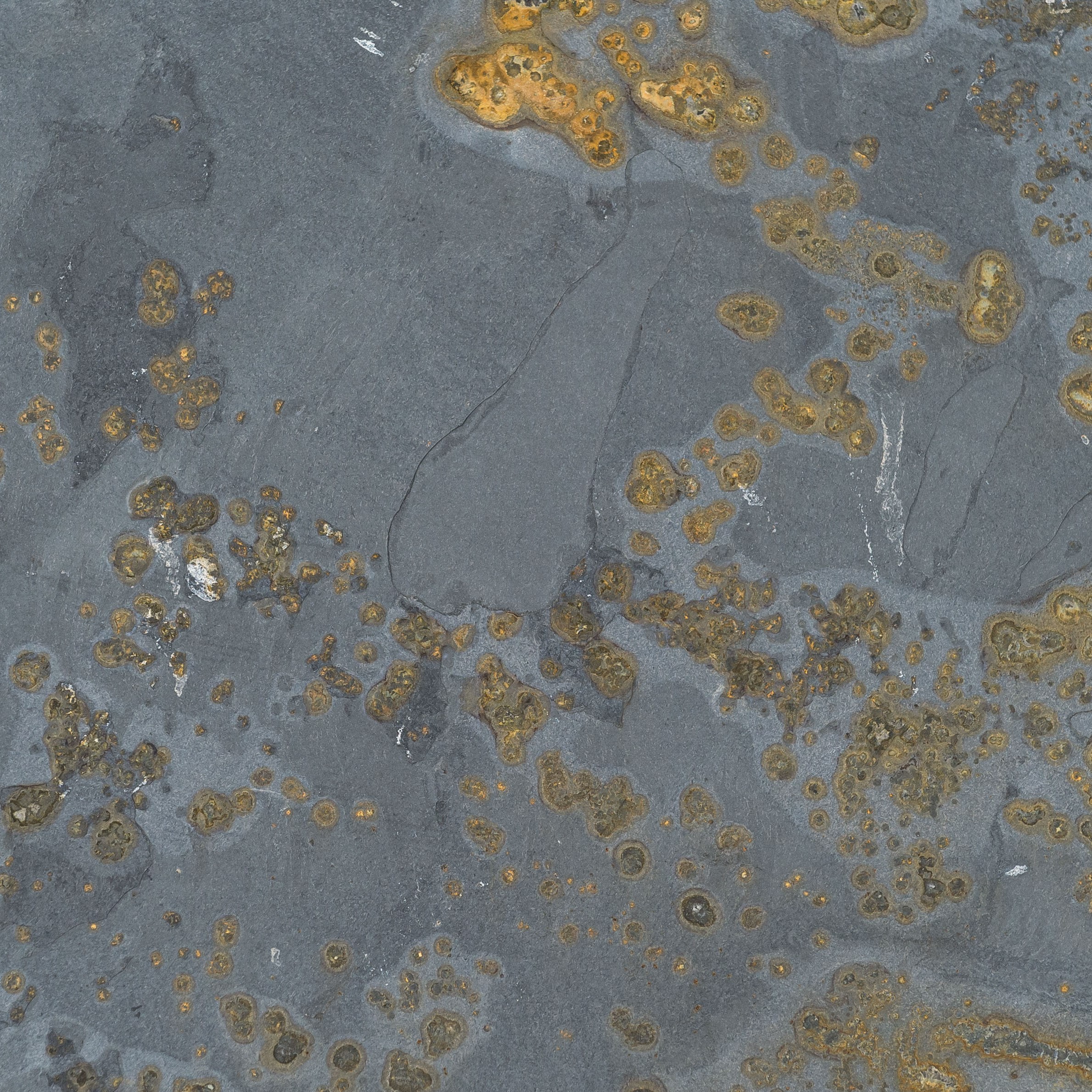 Schieferfliese Multicolor aestivate Multicolor Schiefer spaltrau aestivate