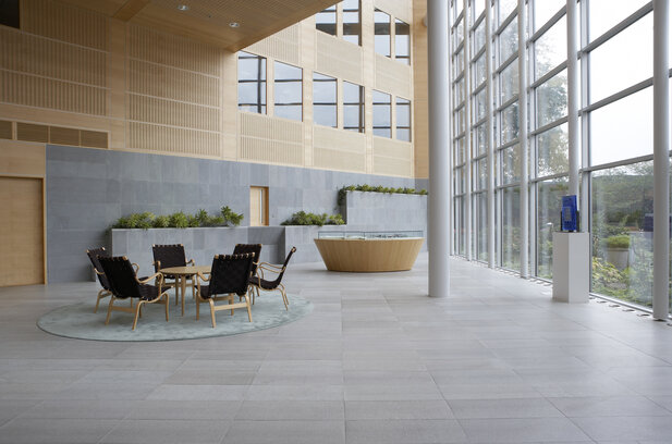 Kalkstein Öland aestivate